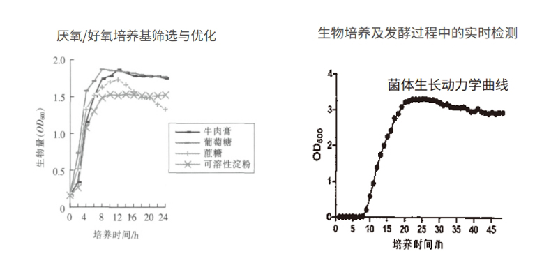 過程安全，結果精準